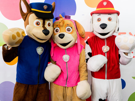 Show Paw Patrol Happy Party